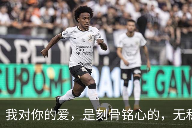 我对你的爱，是刻骨铭心的，无私奉献的