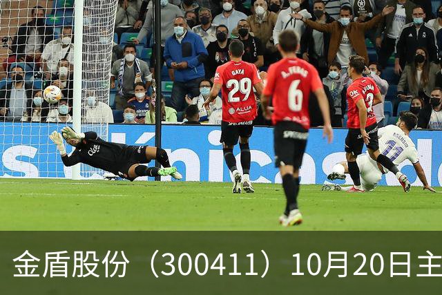 金盾股份（300411）10月20日主力资金净卖出876.72万元