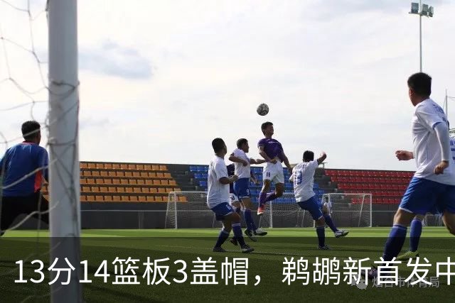 13分14篮板3盖帽，鹈鹕新首发中锋首秀交出两双